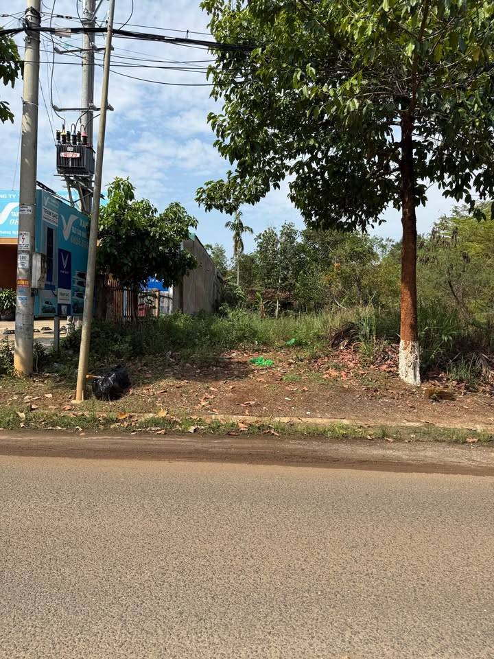 Đất Mặt Tiền QL14 Đạ Tẻh, 270m² - Kinh Doanh/Đầu Tư Sinh Lời