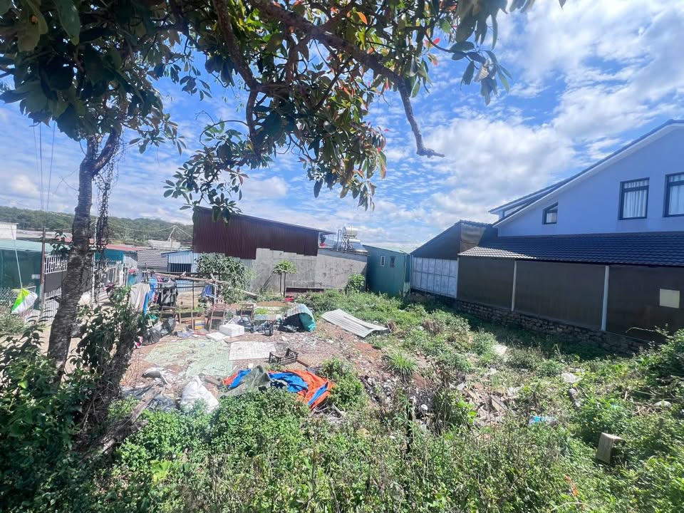 Đất nền Đà Lạt Đường Hồ Xuân Hương - Sổ đỏ chính chủ, ô tô tận nơi!