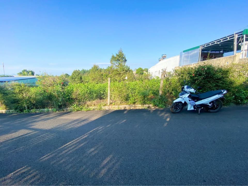 Đất nền Nguyễn Tri Phương Bảo Lộc 546m² - Pháp lý rõ ràng