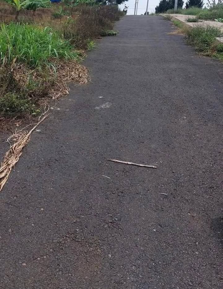 Đất nền Hẻm Nguyễn Du, Bảo Lộc 800m² - Sổ đỏ chính chủ!