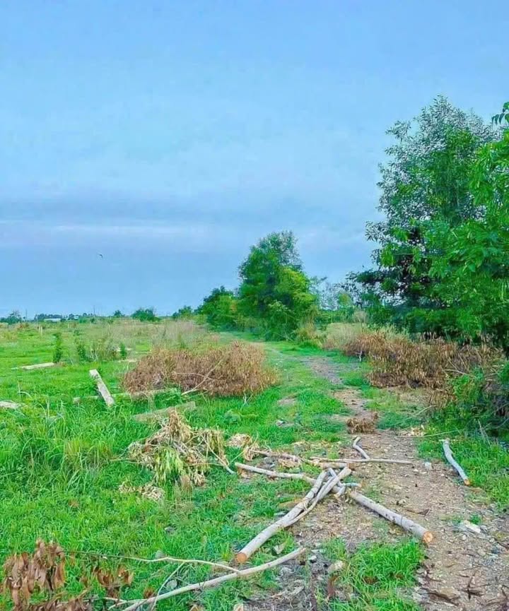 Đất nền Hàm Liêm, Bình Thuận 1800m² - Sổ đỏ chính chủ!