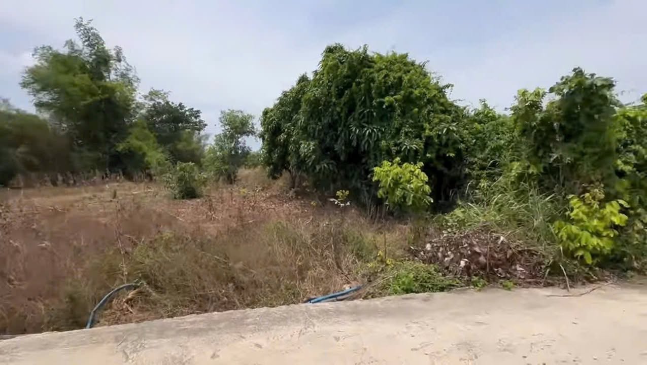 Đất nền Xã Láng Dài Đất Đỏ 1200m² 2.8 tỷ - Xây dựng tự do!