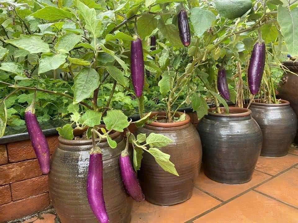 Nhà riêng Quận 12 26m² 1.87 tỷ - Chính chủ bán!