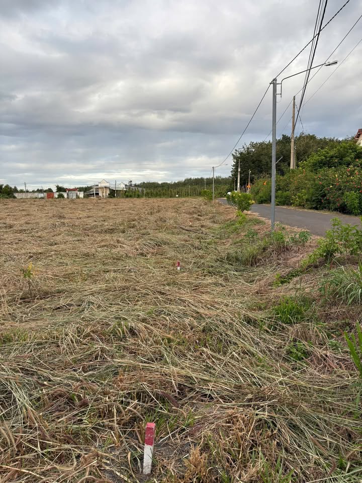 Đất Nền Đồng Nai 250m² - Giá Tốt Đầu Tư, Sẵn Sổ