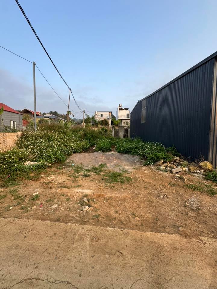 Đất nền Mộc Châu 120m² - Sổ đỏ chính chủ, đường ô tô vào tận đất!