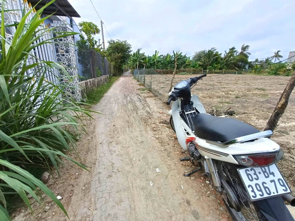 Đất nền Gò Công Tây 168m² chỉ 385 triệu - Giá F0 CĐT