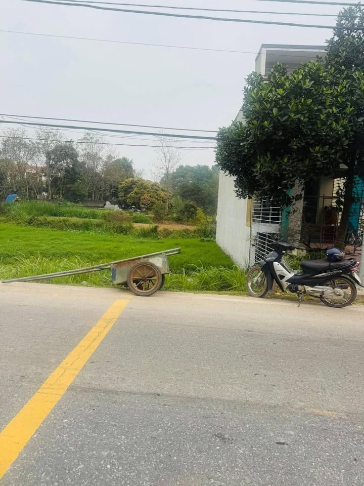 Bán đất 100m² Tỉnh lộ 307 Tam Sơn, Phú Thọ - Giá nhô 1 tỷ