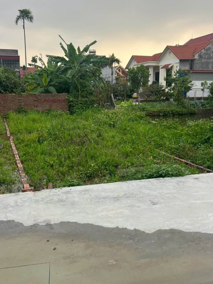 Đất nền Đào Yêu, An Dương 55.6m² - Sổ đỏ sẵn sàng, giá tốt đầu tư