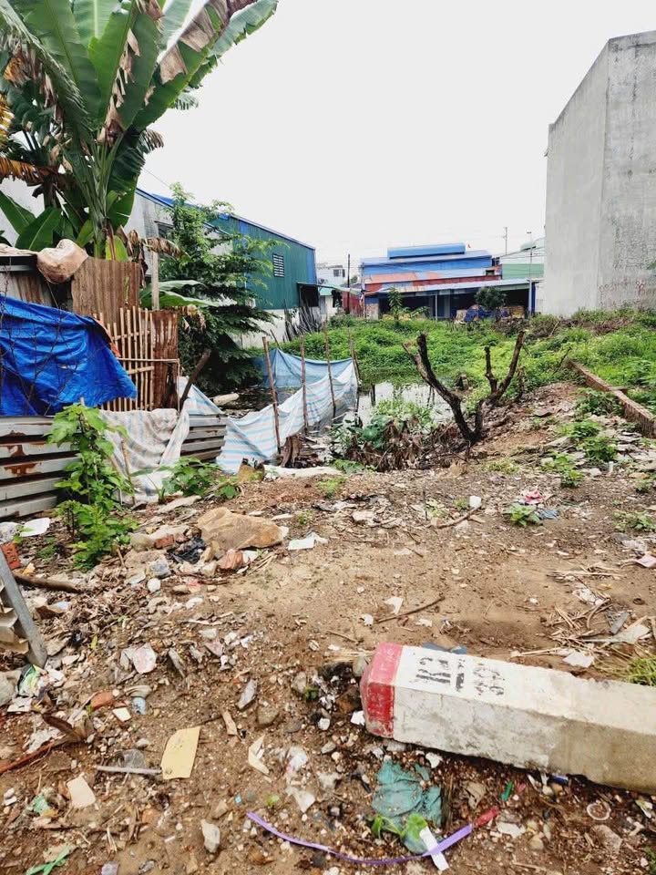 Đất Nền Hải Phòng 90m² Đường 208 - Tiềm Năng Tăng Giá Vượt Trội