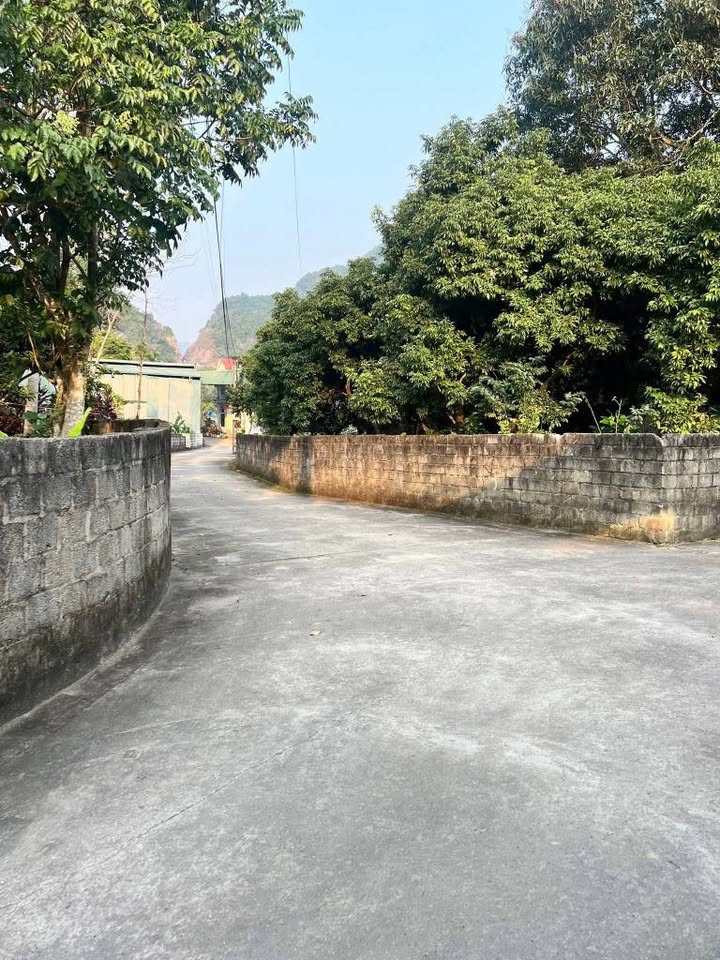 Đất Nền Hà Giang 135m² - Tiềm Năng Tăng Giá Vượt Trội!