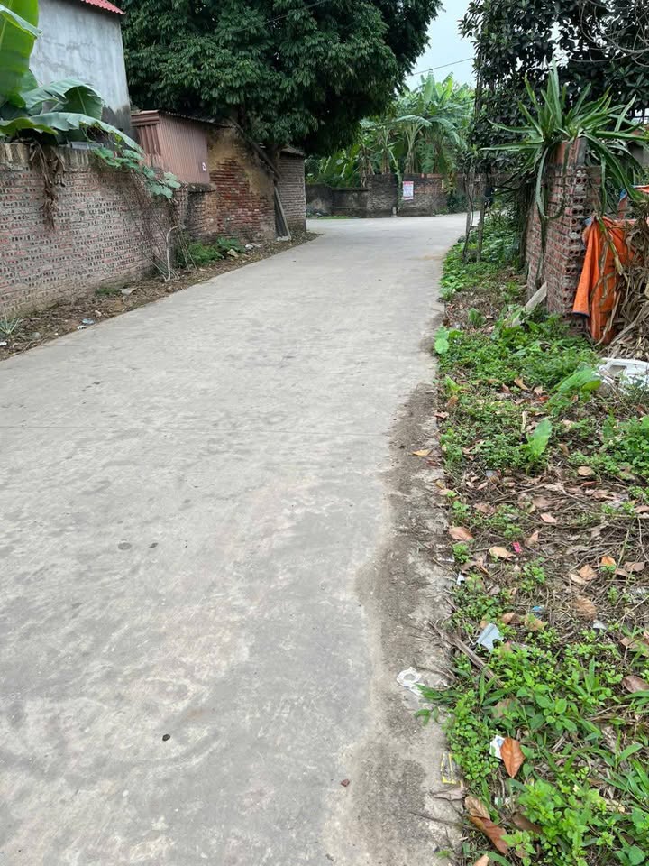 Đất Nền Ngọc Châu, Tân Yên 96.6m² - Sổ Hồng Thổ Cư, Gần KCN