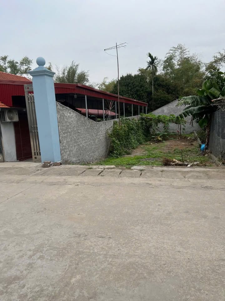 Nhà Mặt Tiền Kinh Doanh 100m² Thôn Hạ, Phú Xuyên - Giá 3 Tỷ