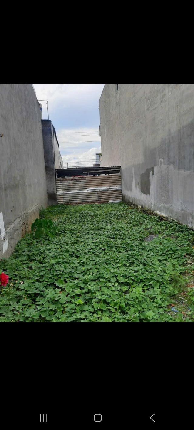 Đất nền Long Bình, Biên Hòa 100m² sổ đỏ - Giá 950 triệu