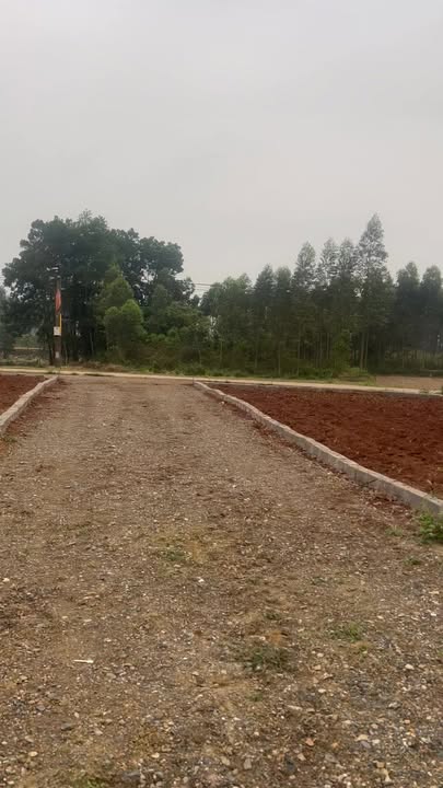 Đất nền Hoàng Cương, Thanh Ba 200m² - Sổ đỏ chính chủ!