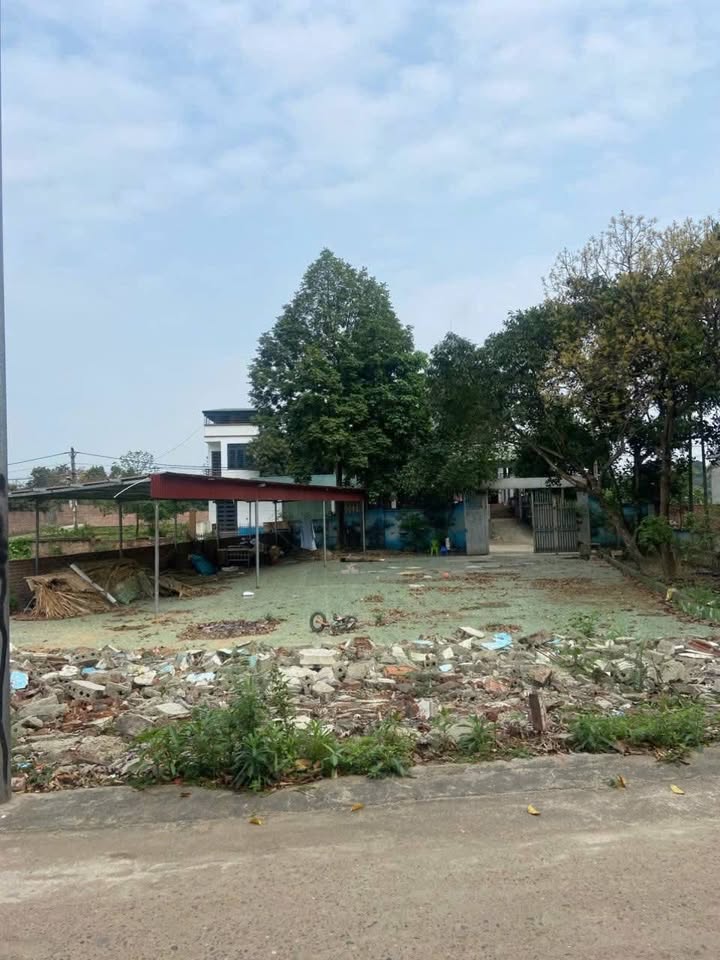 Đất nền Việt Trì 87m² - Giá 1.9 tỷ, Tiềm năng tăng giá mạnh!