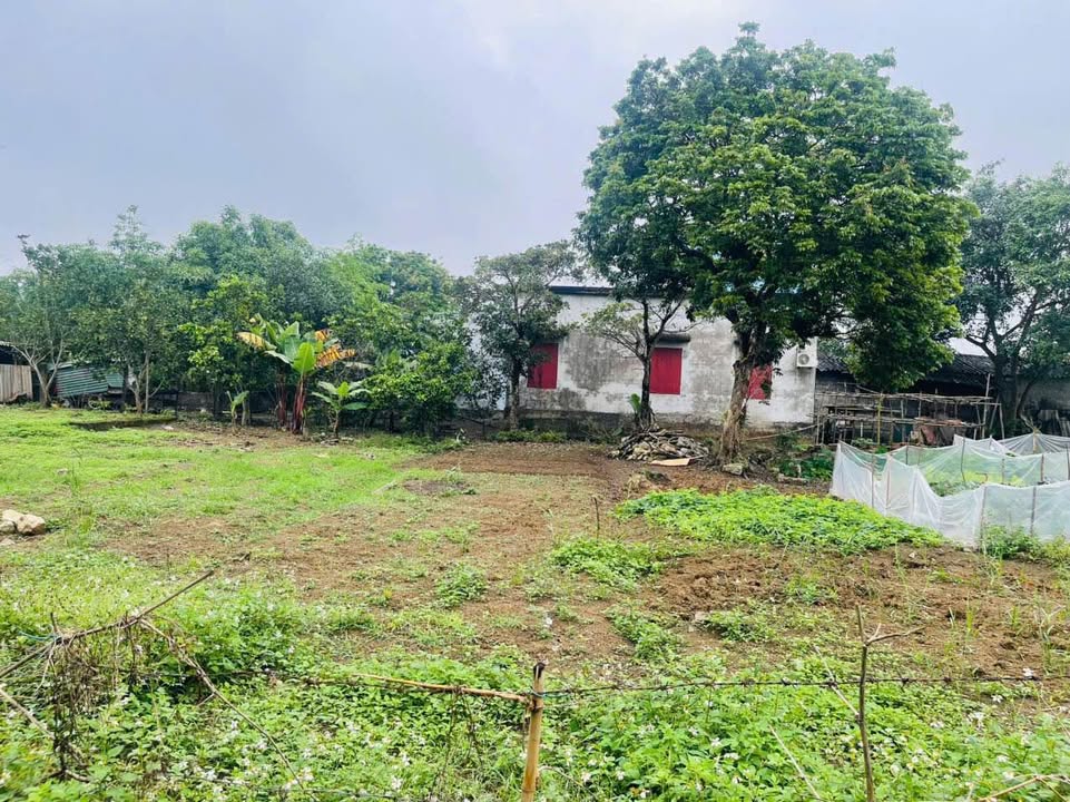 Đất Ngọc Lương - Yên Thủy 108.5m² | Sổ đỏ sẵn, giá chỉ 2xx triệu