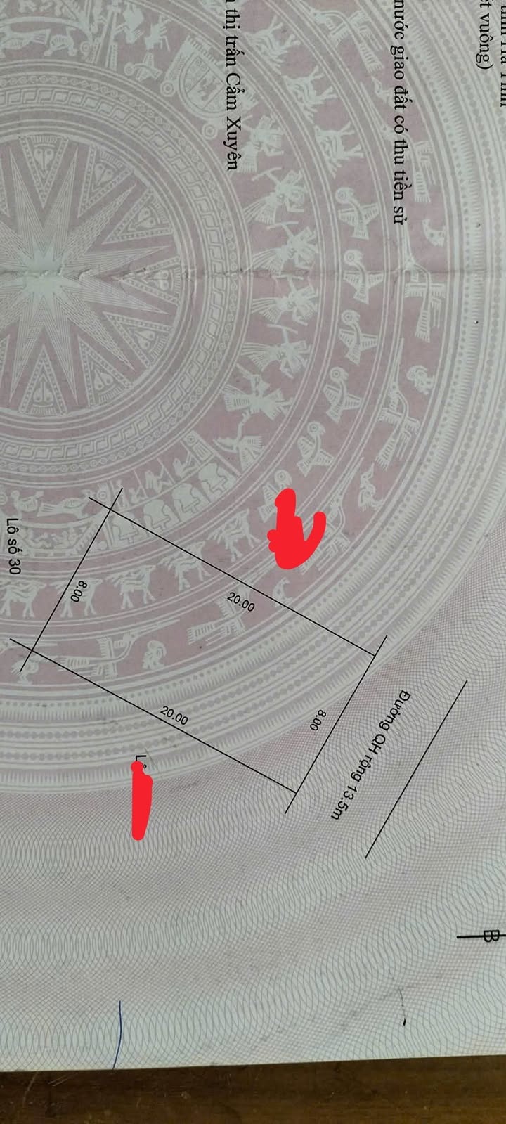 Đất Nền Cẩm Xuyên, Hà Tĩnh - 160m² Full Thổ Cư, Gần Chợ, Kinh Doanh Sầm Uất