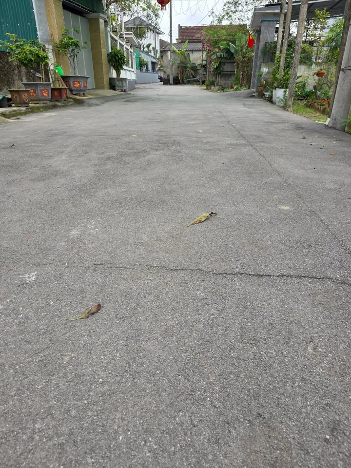 Đất nền Minh Tiến, Thạch Hạ 186m² - Tiềm năng tăng giá vượt trội!