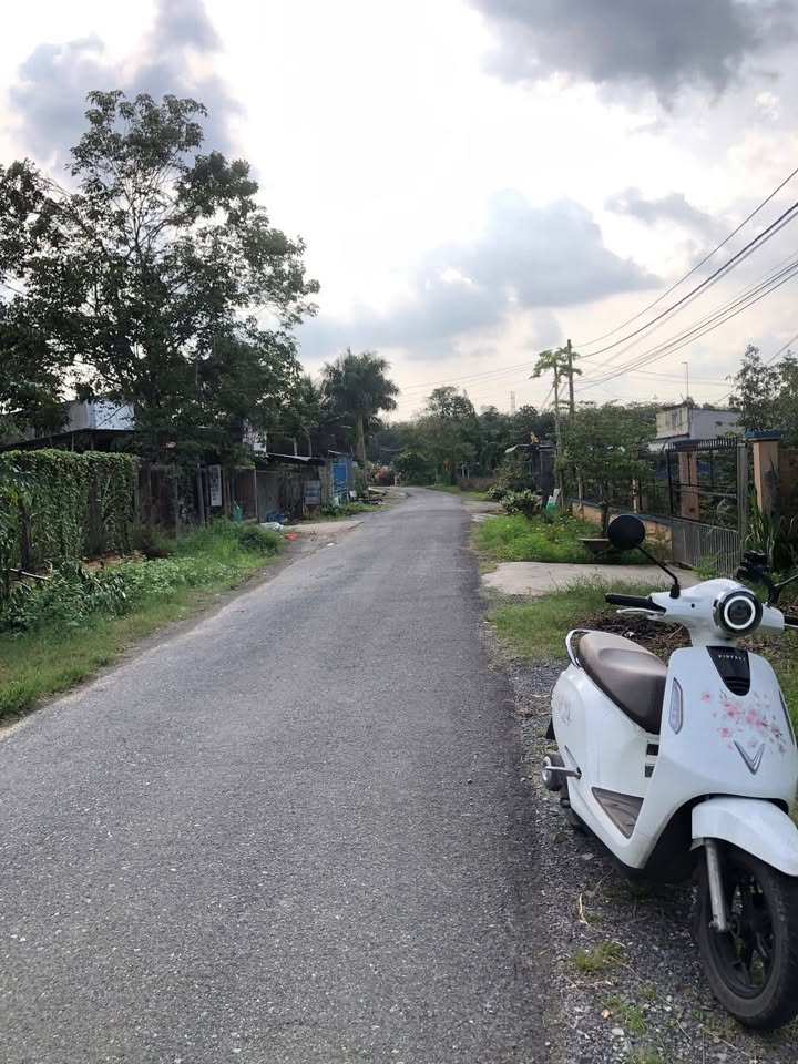 Đất Vườn Nhuận Đức Củ Chi 3384m² Mặt Tiền Nguyễn Thị Dòn - Giá Tốt Chỉ 8.2 Tỷ