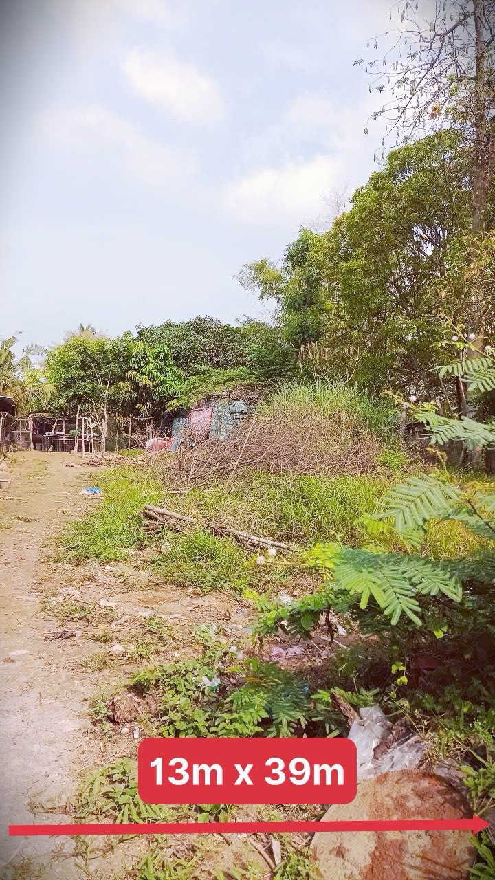 Đất nền Bình Hòa, Châu Thành 507m² - Tiềm năng tăng giá vượt trội!