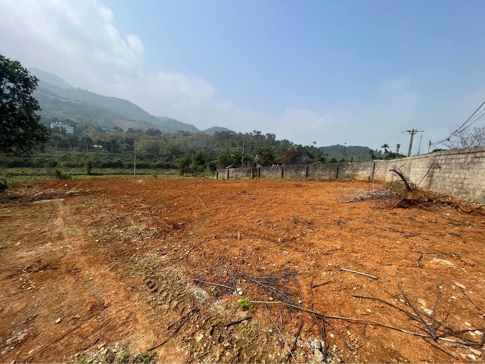 Đất nền Yên Trung Thạch Thất 1474m² giá thỏa thuận - Sổ đỏ chính chủ