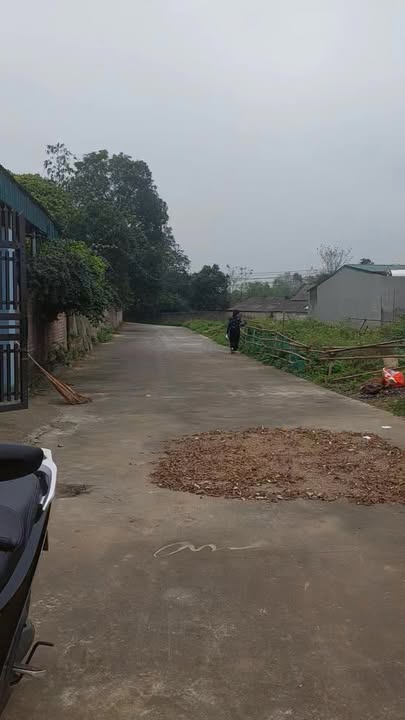 Đất nền 176m² Âu Cơ, Phú Thọ - Đường to ô tô, giá từ 900 triệu