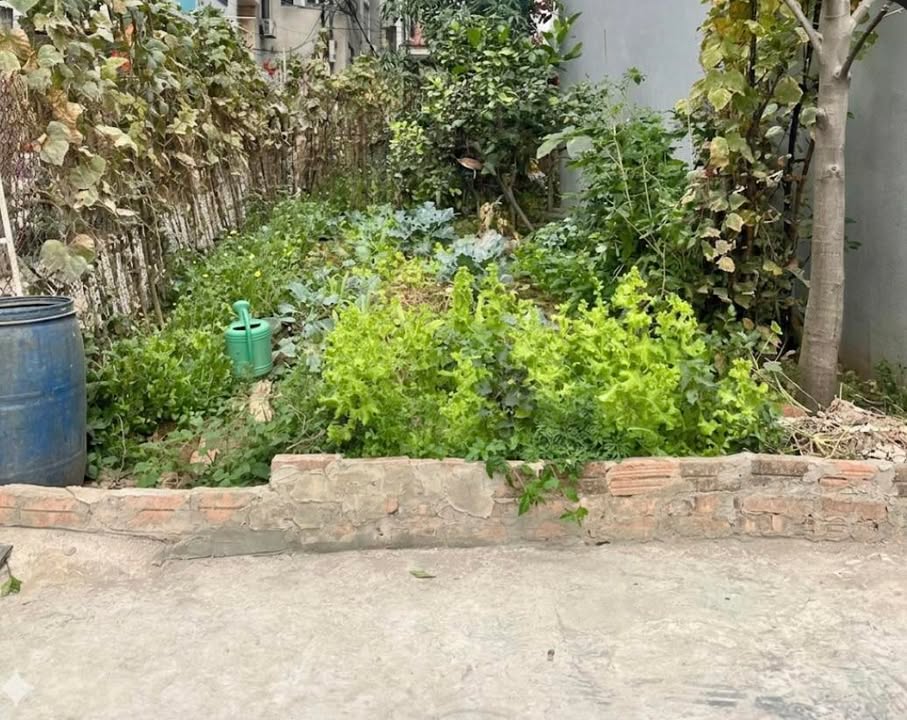 Đất nền Vân Canh 40m² Hoài Đức - Sổ đỏ chính chủ!