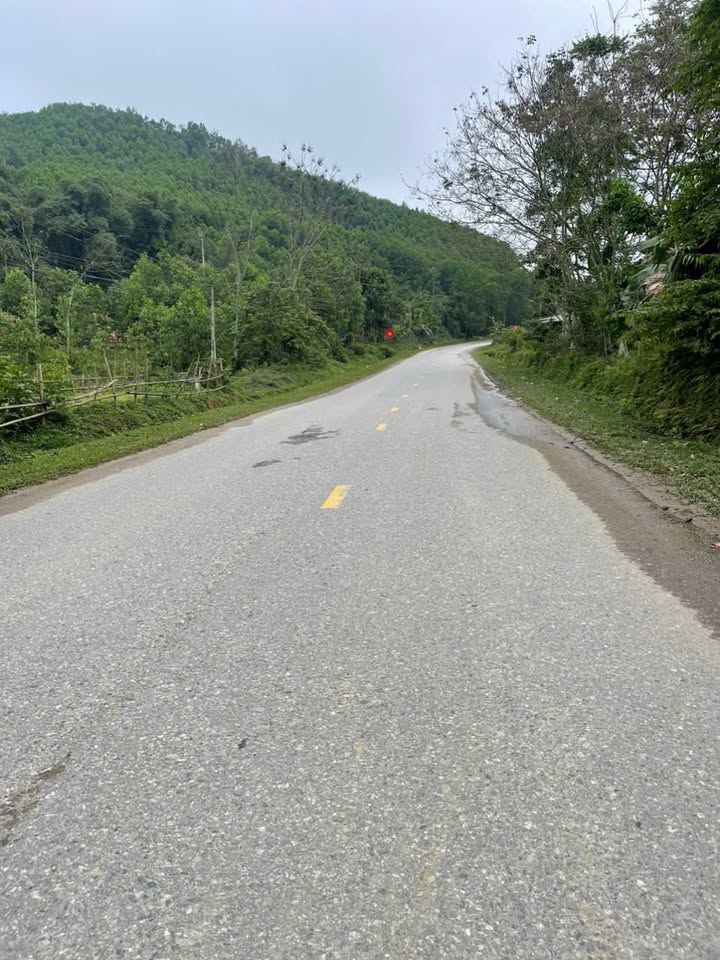 Bán Đất Thường Xuân 175m² - Nở Hậu Tài Lộc, Mặt Tiền Tỉnh Lộ 519