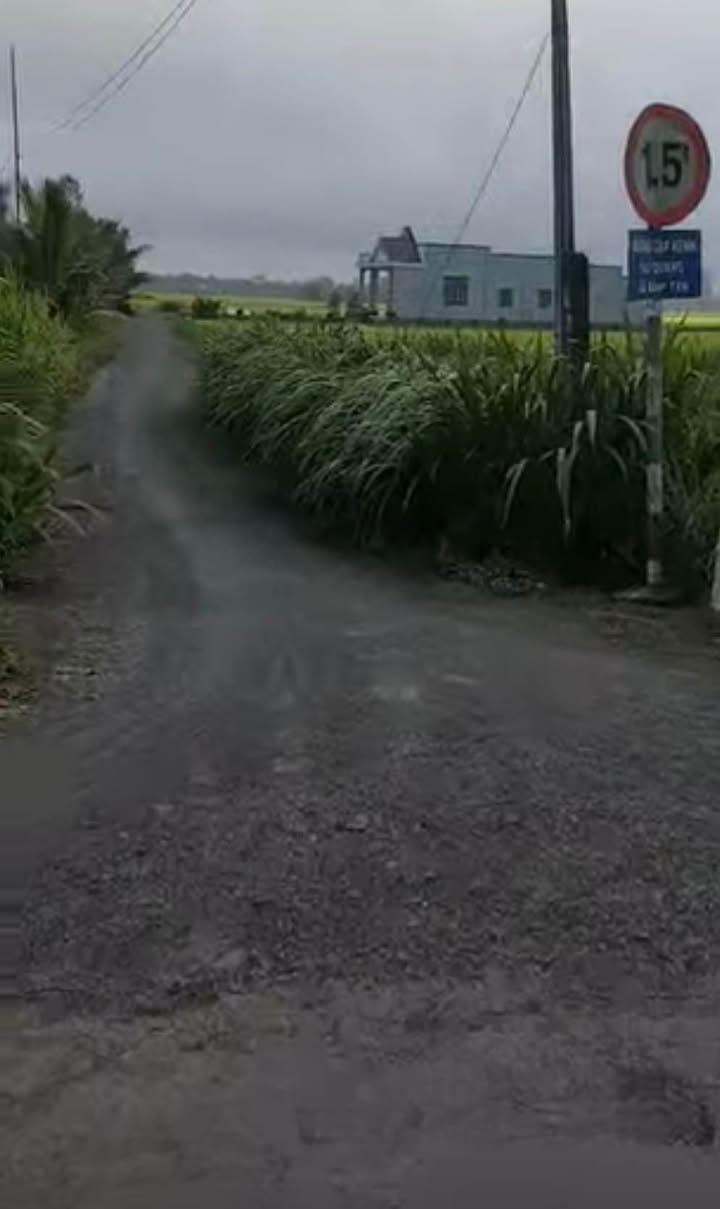 Đất nền Bình Tân, Gò Công Tây 1900m² - Nghỉ dưỡng lý tưởng!