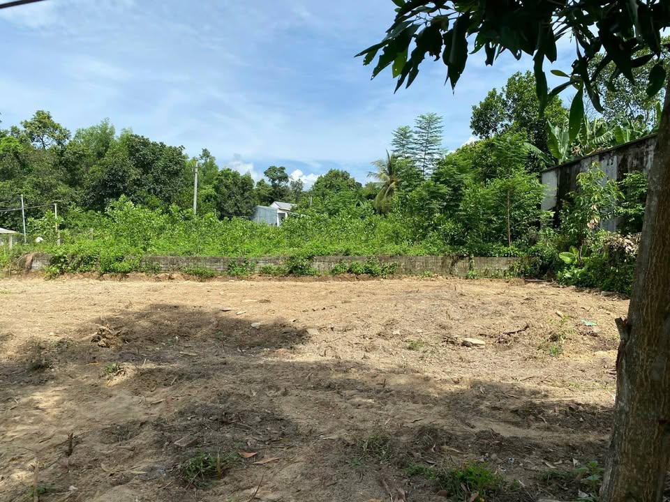 Đất nền Hòa Khánh Đà Nẵng 1.241m² - Sổ đỏ chính chủ, đầu tư sinh lời!