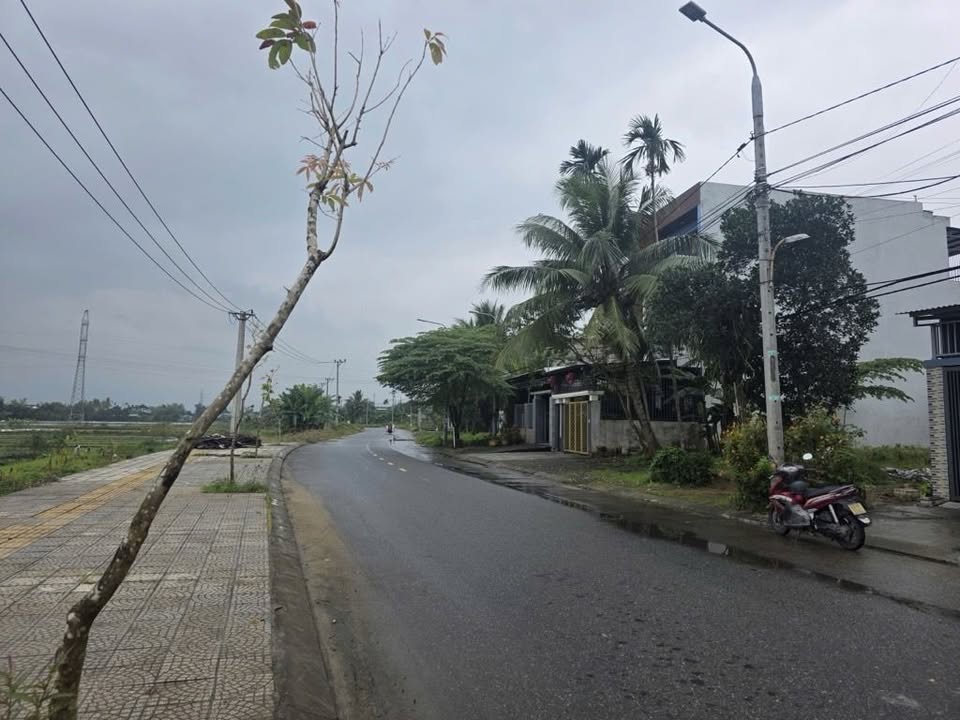 Đất Nền Hòa Thọ Tây 91.7m² - Gần Trục Thăng Long, Giá Tốt