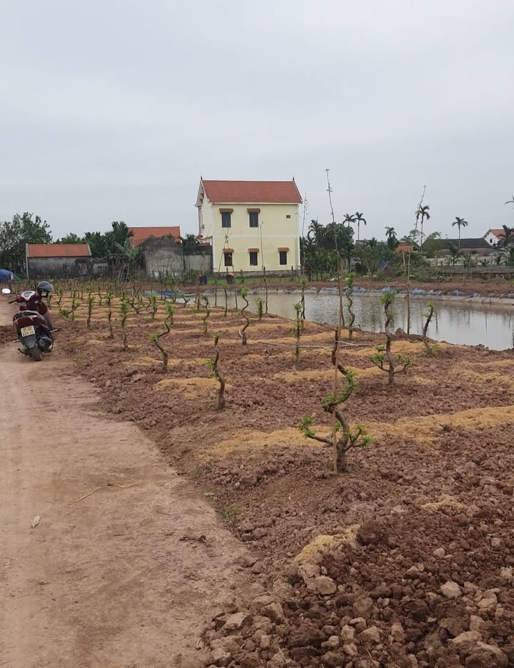 Đất Vườn 1043m² Kim Sơn, Ninh Bình - Giá Rẻ, Pháp Lý Rõ Ràng