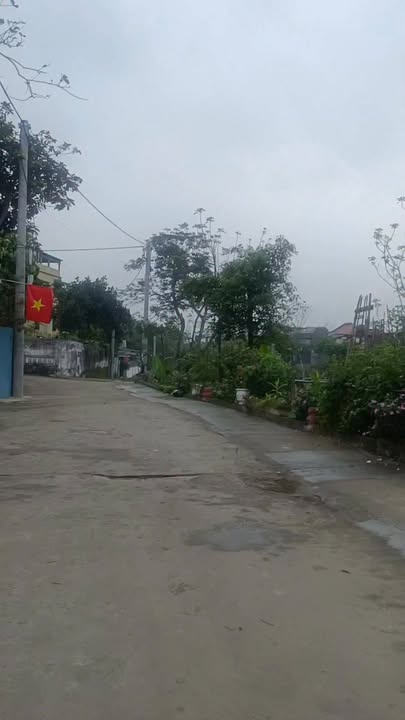 Đất nền Nam Đàn 164m² - Sổ đỏ chính chủ, ô tô vào tận nơi!