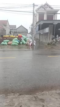 Đất nền Đường nhựa 537B, Nghi Lộc 176m² - Tiềm năng tăng giá vượt trội!