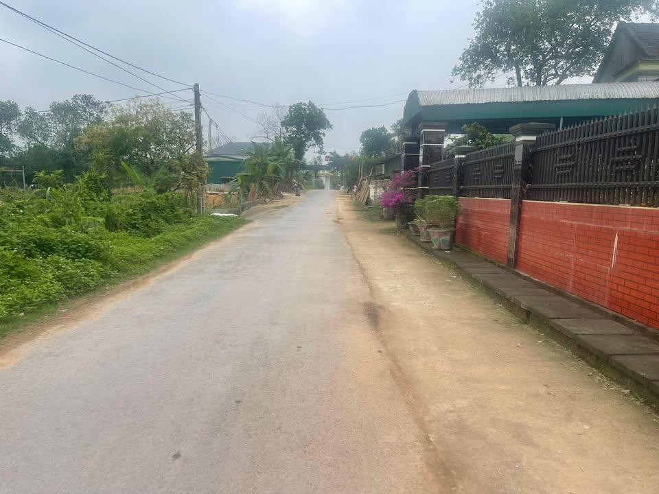 Đất Mặt Tiền Đường Nhựa Nam Nghĩa, TP Vinh - 741m² - 3 Tỷ