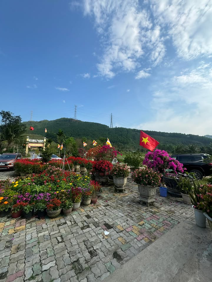 Bán 3 Lô Đất Mặt Tiền Bắc Sơn, Cẩm Lệ - View Công Viên, 300m², Thỏa Thuận