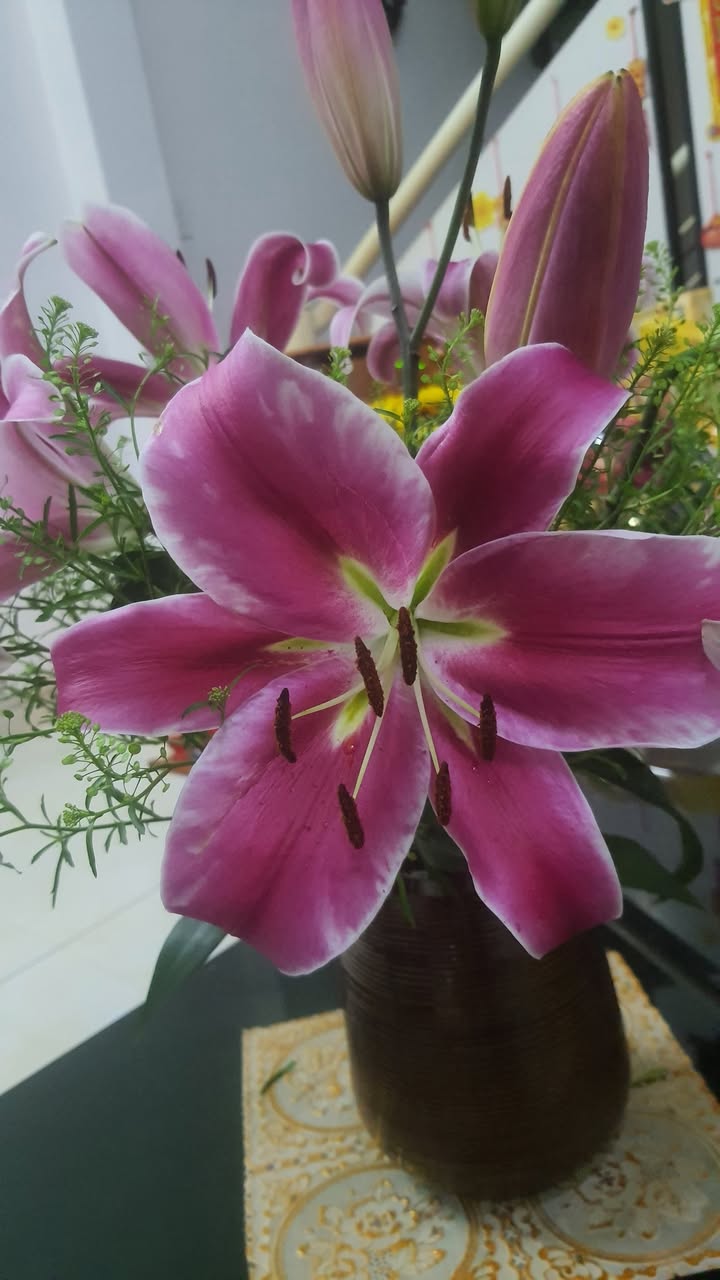 Đất nền mặt tiền Bắc Sơn, Cẩm Lệ, Đà Nẵng - 100m² view công viên