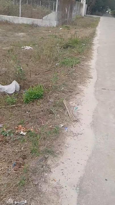 Đất nền Thạnh Đông, Tân Châu 800m² - Tiềm năng tăng giá vượt trội!