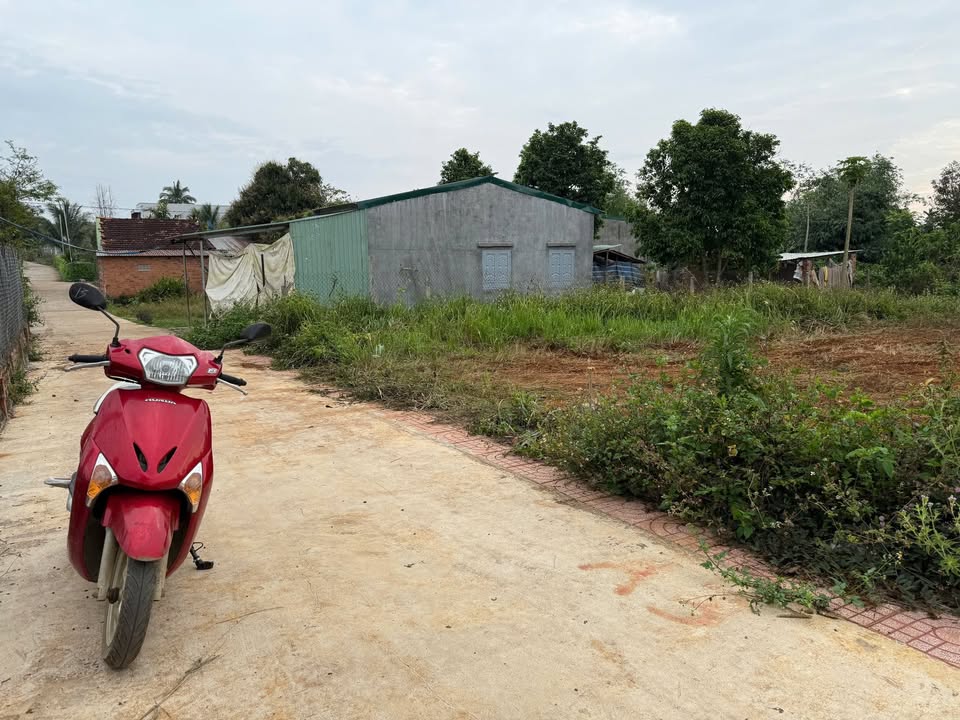 Đất Thị Trấn Phước An Krông Pắc - 140m² Thổ Cư, Giá 820 Triệu