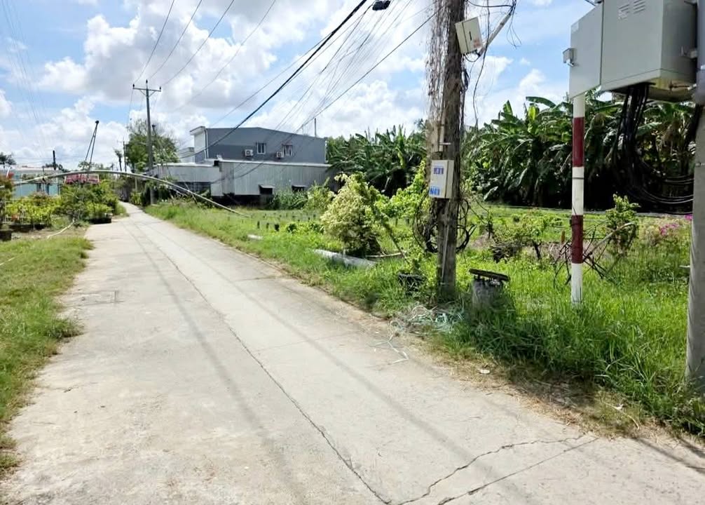 Đất nền Trà Vinh 268m² chỉ 1.5 tỷ - Sổ đỏ chính chủ!