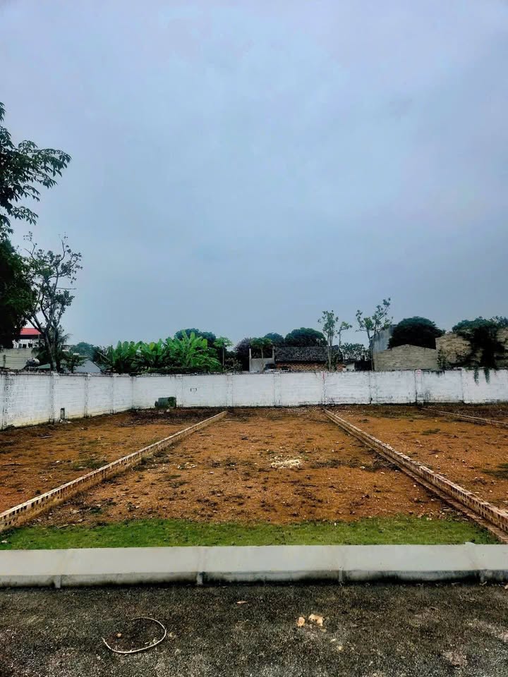 Bán Gấp Đất 100m² Phường Viên Sơn, Sơn Tây - Sổ Đỏ Full Thổ Cư