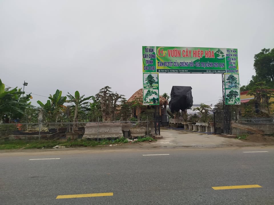 Đất nền Hiệp Hòa 139m² - Mặt tiền QL 37, Tiềm năng tăng giá!