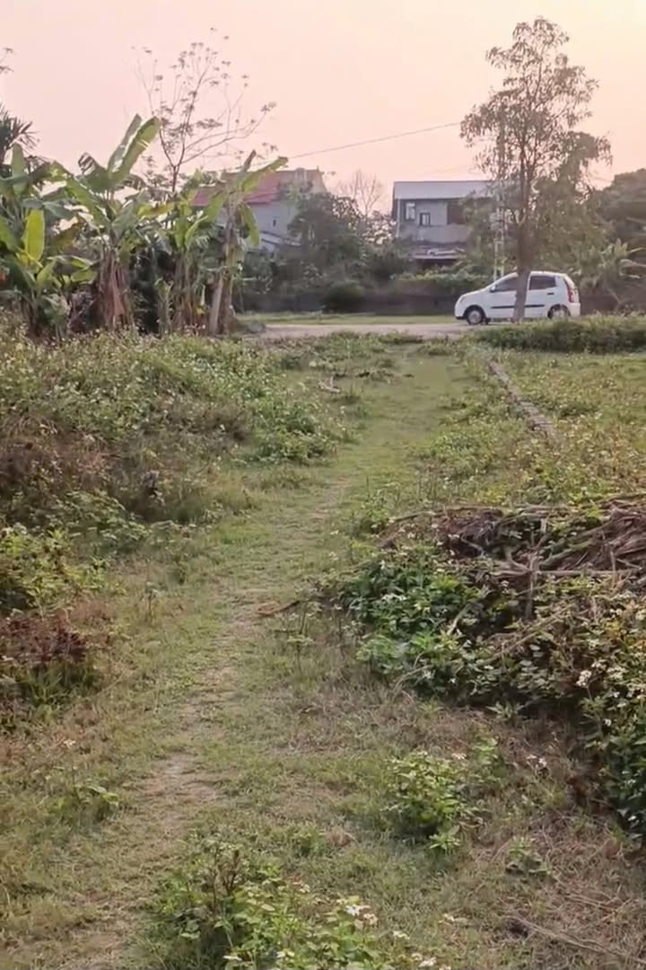 Đất nền Hiệp Hòa 600m² Tỉnh lộ 295 - Tiềm năng tăng giá vượt trội!