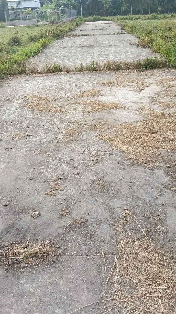 Đất nền Giồng Trôm 528m² Bến Tre - Sổ đỏ chính chủ, xây dựng ngay!