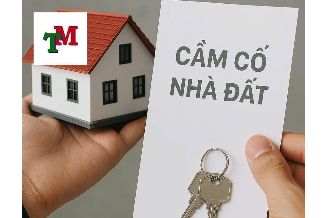 Đất nền Thị trấn Cần Giuộc 125m² - Giá F0, đường ô tô thông thoáng!