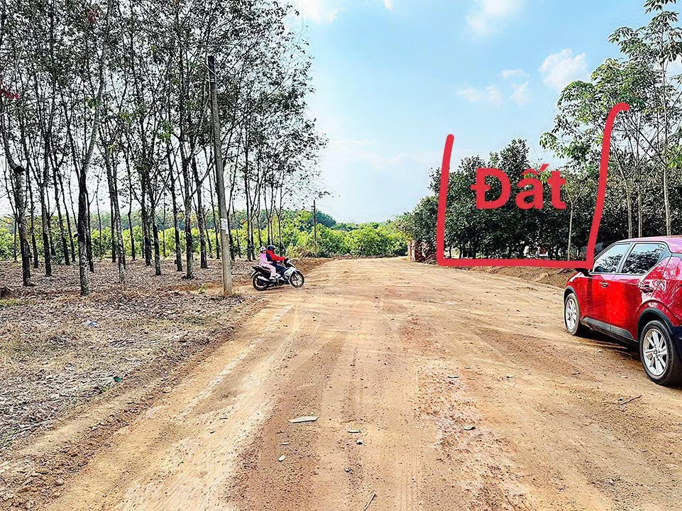 Đất nền Tân Lợi, Đồng Phú 132m² - Sổ đỏ chính chủ!