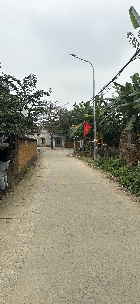 Bán Gấp Nhà 110m² Thổ Cư Chính Chủ Thôn Kim Bông, Sơn Tây - Giá Tốt