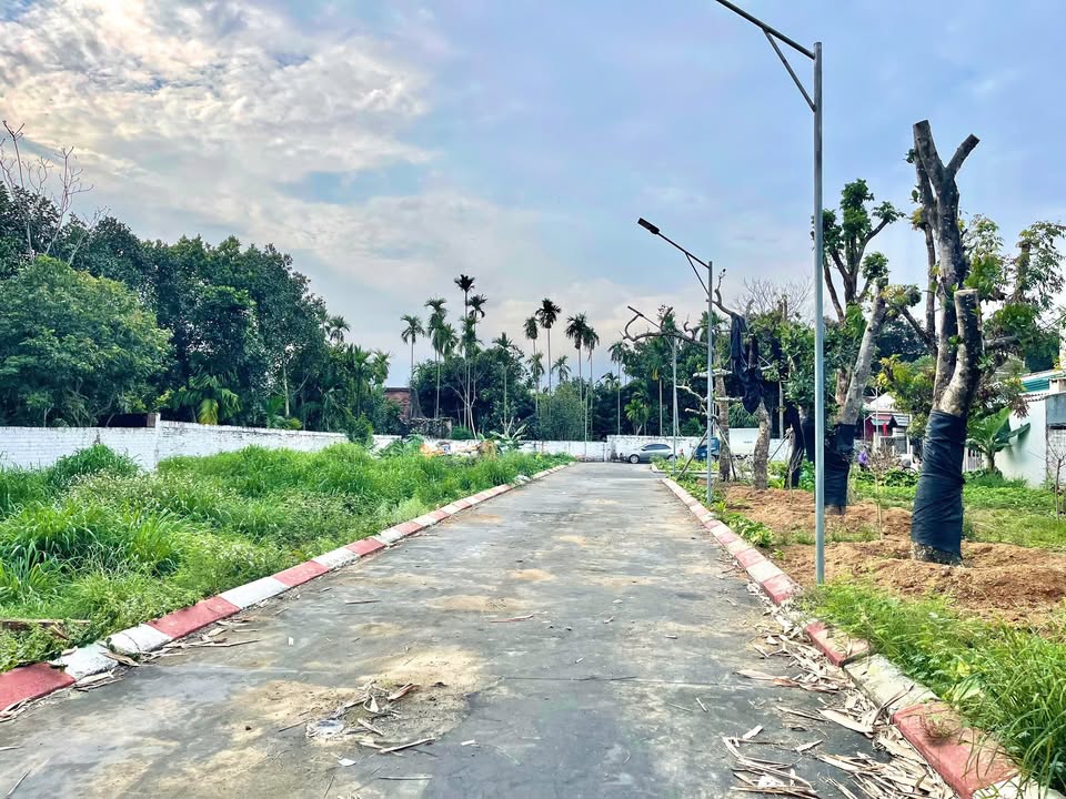 Đất 50m² Sơn Tây - Sổ đỏ chính chủ, ô tô vào tận đất, 1.8 tỷ