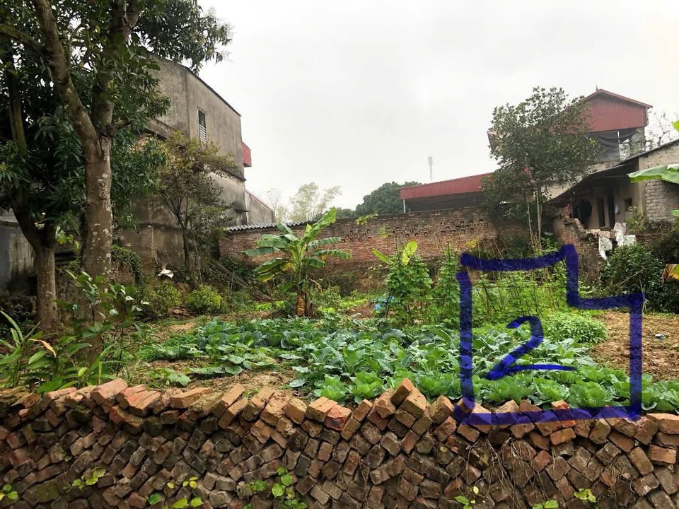 Đất nền 93m² Đồng Phúc, Yên Dũng - Sổ đỏ chính chủ, tiềm năng sinh lời!