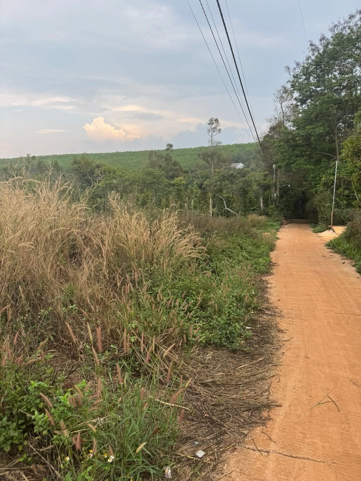 Đất nền Đắk Nông 259m² giá 490 triệu - Sổ đỏ chính chủ!